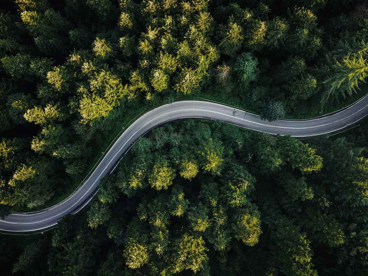 Green Logistics emisiones carbono